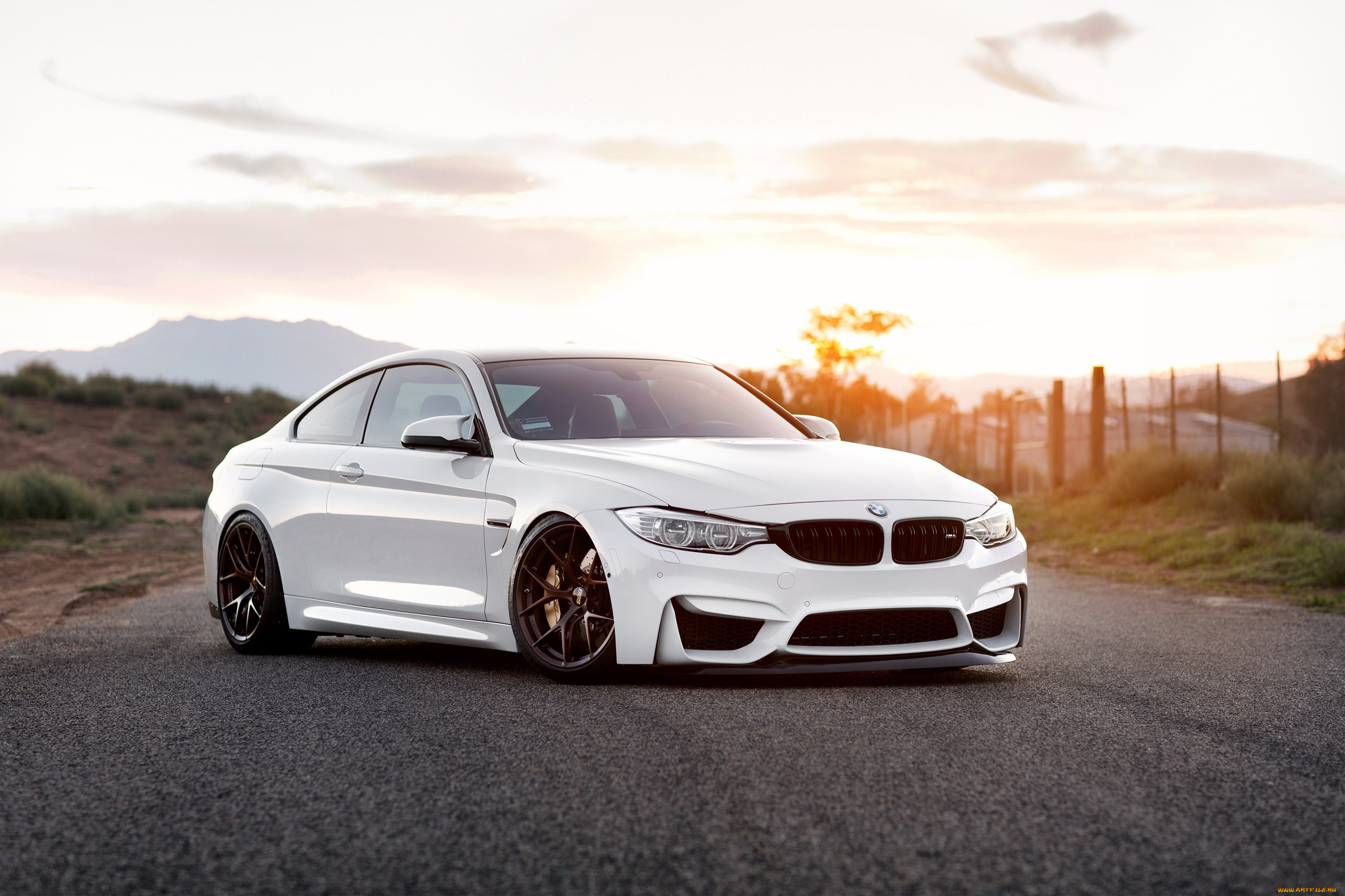 , bmw, white, f82